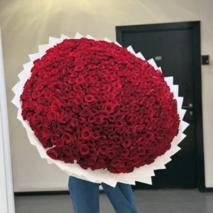 501 Pcs Rose Bouquet